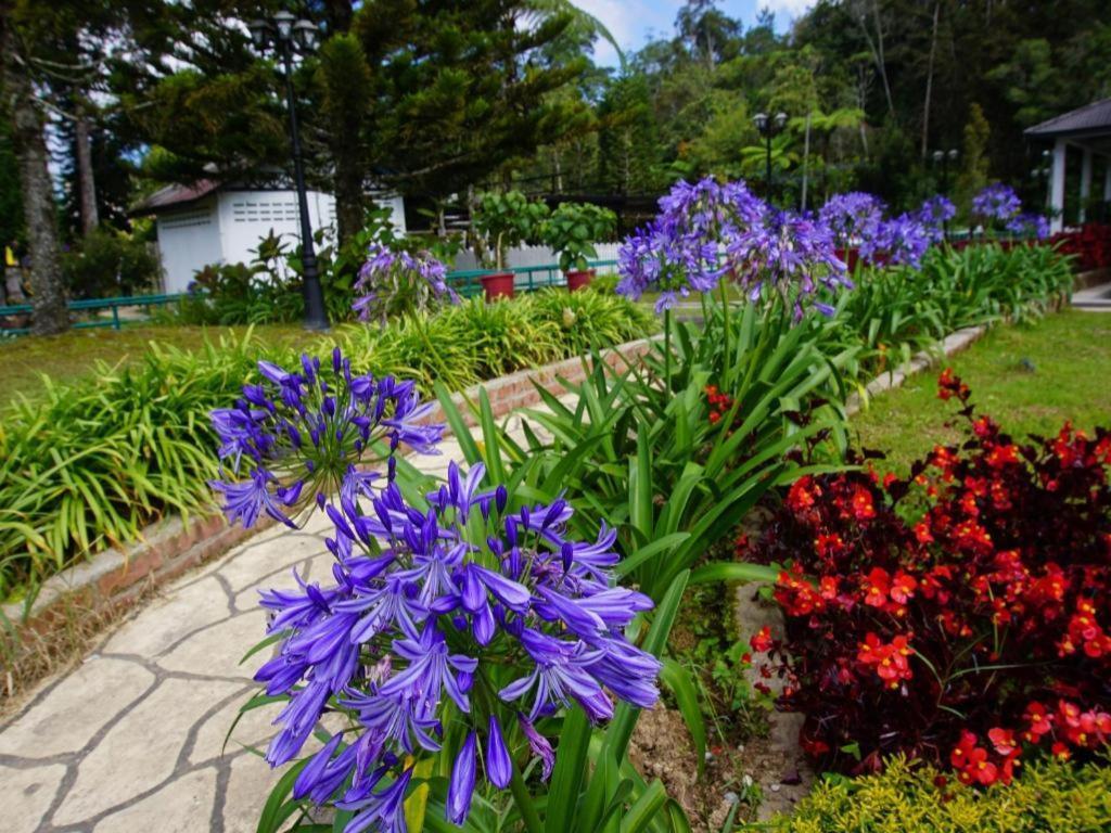 Camlodge Budget Hotel Cameron Highlands Eksteriør billede